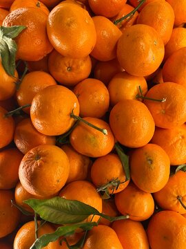 Close up photo of mandarins  