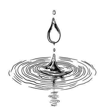 recommend clip art:  Splashes of water and drops of water graphics engraving on a white background. Drops fall into the water