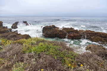 California coastline with yellow wildflowers foreground