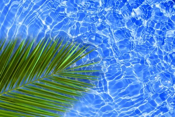 shiny water tropical background with green palm leaf top view. palm leaves on water. 