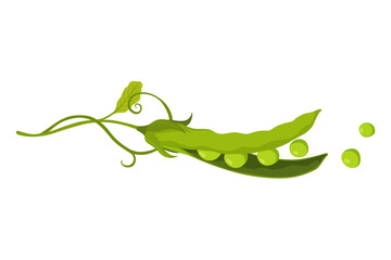Green pea pod. Vegetable icon. Element for packaging and menu design. Natural green healthy eco product. illustration