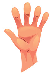 Hand gesture sign fist arm, isolated icon. Finger counting. Sign language. Realistic human hand, sign. graphic design illustration
