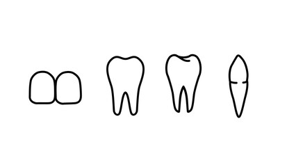 different human tooth icons set (only fill) eps collection. tooth icon flat style illustration isolated on white background. dentist, dentistry, medicine, dental, oral treatment and whitening concept
 - obrazy, fototapety, plakaty