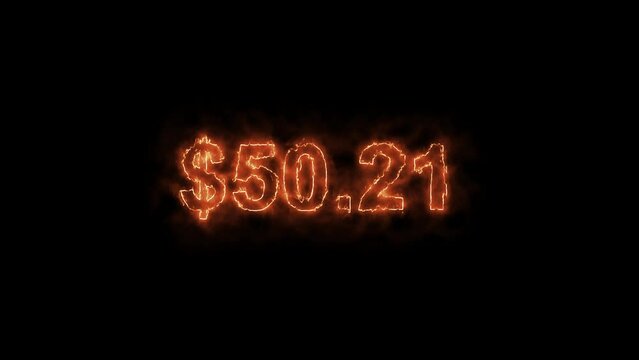 Dollar growth timer up to 1000 , one thousand Dollar Money Countdown , 1000 Dollar Animated Number Counter, Counting fast from zero to one thousand Dollar in numbers. Concept of money and currency