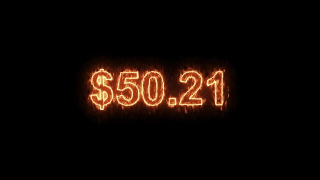 Dollar growth timer up to 1000 , one thousand Dollar Money Countdown , 1000 Dollar Animated Number Counter, Counting fast from zero to one thousand Dollar in numbers. Concept of money and currency