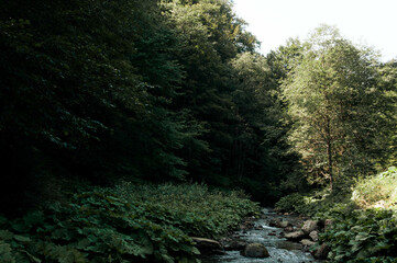 small Carpathians river from Ukraine