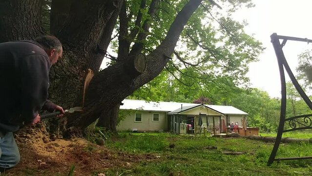 I burned a lot of calories cutting this 49 foot broken limb from this White Pine Tree in our Yard.  It is the kickback that kills so many.  The limb rolls back violently after hitting the ground.