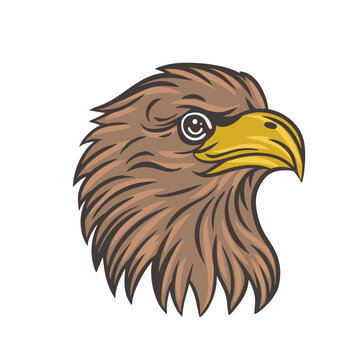 Eagle head vector logo