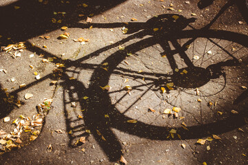 The shadow of a bike on asphalt