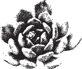 Succulent with a grainy photocopy effect. Grunge dotted element with stippling effect in a anti-design style. Vector illustration.	