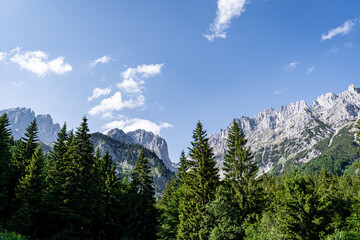 Alpenlandschaften - wunderschöner Bergwald vor einem majestätischen Hochgebirge. - 776104944