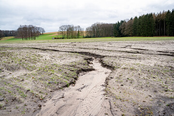 Bodenerosion - verschlemmte und ausgewaschene Getreidefläche in Winter nach heftigen Regenfällen, Symbolfoto.. - 776105341
