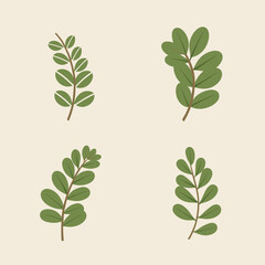 Set of green leaves and leaves on branches flat vector illustration isolated on white background