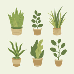 green plants in pots