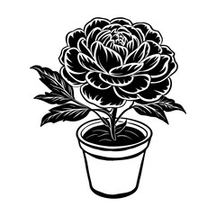 peony flower silhouette on transparent background