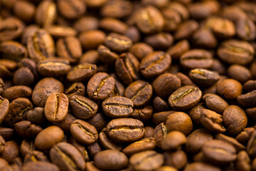 Roasted coffee bean pattern background - 776117500