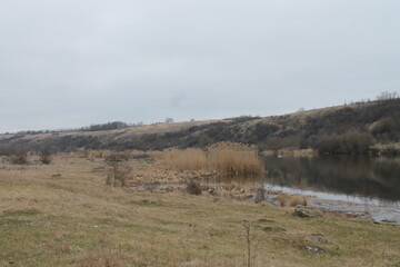 tree, water, nature, lake, landscape, river, sky, trees, spring, autumn, forest, reflection, park, pond, green, grass, winter, scene, mountain, sun, scenery, summer, fog, sunset, day