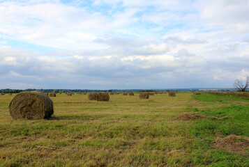 photo, hay in the field, straw rolls. High quality photo