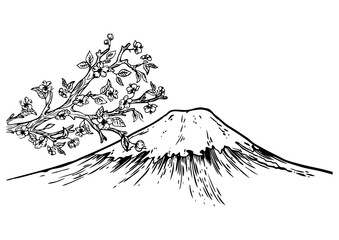 Mount Fuji Japan cherry blossom engraving PNG