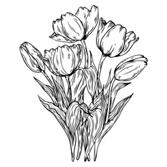 Bouquet of tulips PNG illustration - obrazy, fototapety, plakaty