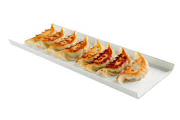 Delicious gyozas steamed in line on a long white tray on a cutout PNG transparent background