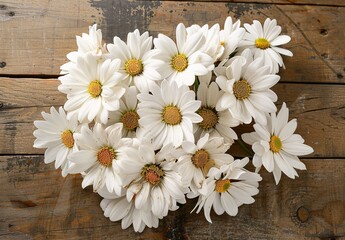 Fresh white daisies on rustic wooden background