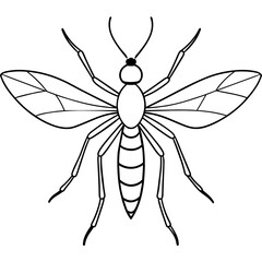 Fototapeta premium dragonfly