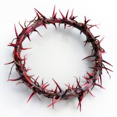 Fototapeta premium Red colored crown of thorns on white background. Isolated on white background.Thorn Crown of Jesus Christ. Copy space, 3d rendering, 3d illustration
