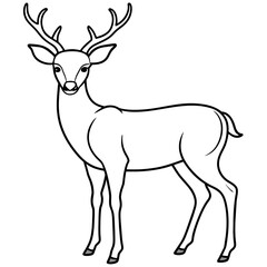 Naklejka na ściany i meble deer illustration