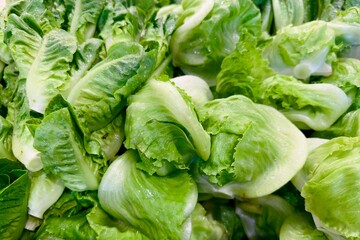 Vegetables kitchen garden Thai herbs lemongrass fresh vegetables at the market
