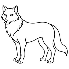 Fototapeta premium illustration of a wolf