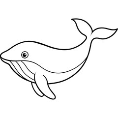 illustration of a fish