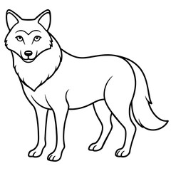 Fototapeta premium vector illustration of wolf