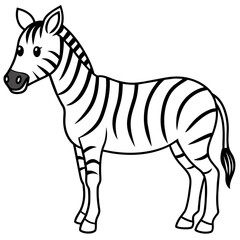 zebra vector illustration