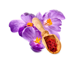 Saffron spice in wooden spoon. Crocus  flowers  bouquet in closeup on white background.