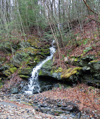 waterfall from an early spring rain