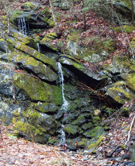 water runoff from a spring rain