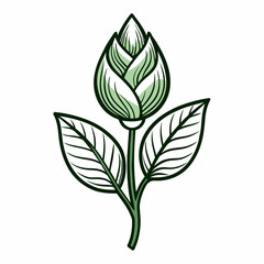 Fototapeta na wymiar Bud with leaves sketch on a white background line drawing