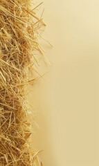 Vertical orientation of straw texture on natural background.
