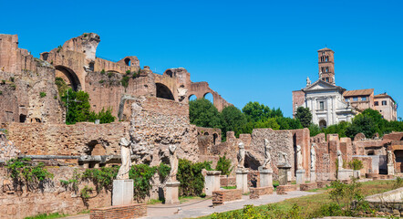 Fototapeta premium Ruins of the Roman Forum at Palatino hill in Roma, Italy