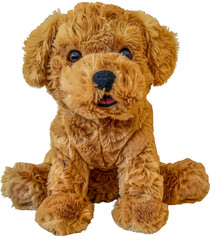 Adorable plush puppy toy with floppy ears cut out on transparent background