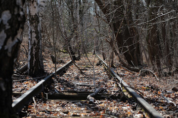 alte verlassene bahn gleise die von der natur überwuchert werden
