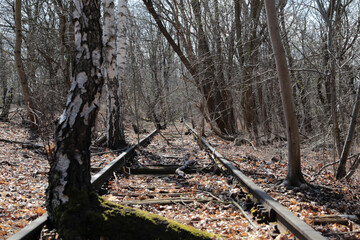 alte verlassene bahn gleise die von der natur überwuchert werden