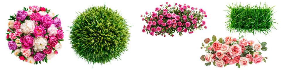A collection of isolated botanical images featuring flower bouquets and lush green bushes