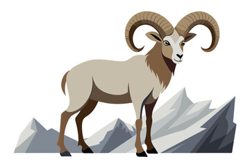 mountain goat on white background
