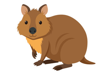 squirrel vector illustration