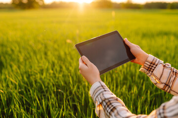 Smart farm. Woman Farmer with tablet in green field. Modern digital technologies. Agronomist at the...