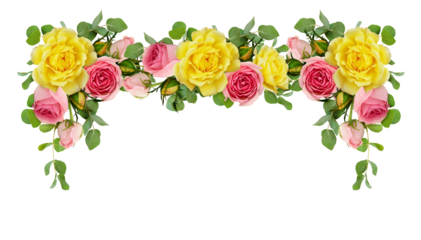 Pink and yellow rose flowers with eucalyptus leaves in frame arrangement isolated on white or transparent background