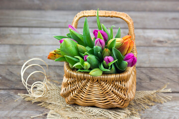 Colorful fresh tulips in wicker basket - wooden background - 776149929