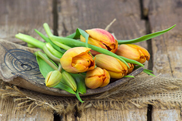 orange tulips on wooden background - 776149935